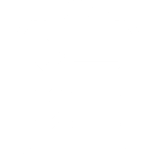 white checklist icon
